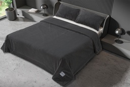 LOA P78 (copia)